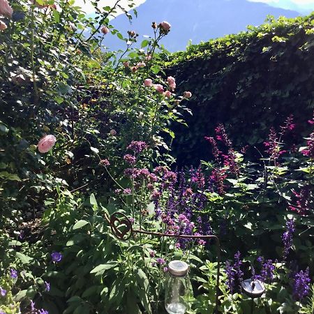 "Natur Pur" Ferienwohnung Mit Eigener Sauna Rons Luaran gambar